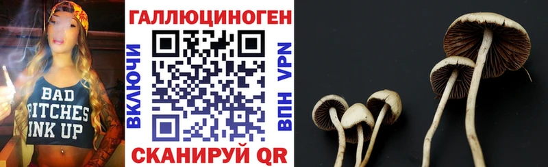 Псилоцибиновые грибы Psilocybe  omg зеркало  Валдай 